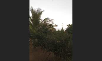 Imagem 3: Vende- se Fazenda / sítio com venda por R$60.000