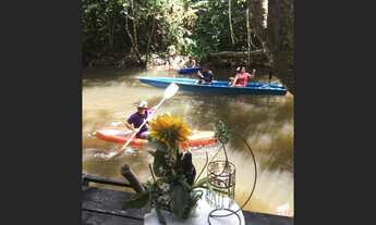 Imagem 5: Belíssimo Sítio com Dois Igarapés