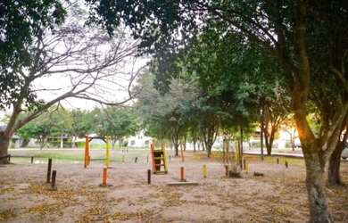 Imagem 5: Alugo Bosque de Papucaia