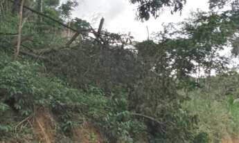 Imagem 5: VENDE-SE, SÍTIO, CONCEIÇÃO DE MACABU-RJ