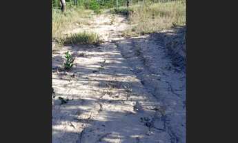 Imagem 3: Vendo ou Troco Lote em Felixlândia (KM374 da rodovia