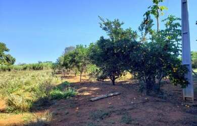 Imagem 4: Fazenda de 19 ha em Caetanópolis