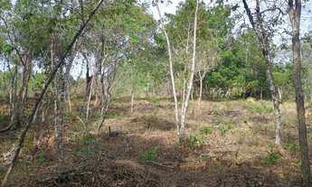 Imagem 4: Terreno de 40 mil mt em Itatiaiuçu MG