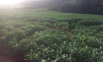 Imagem: Sitio mecanizado