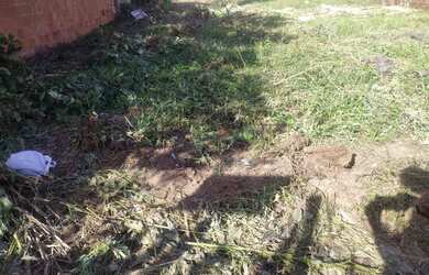 Imagem 4: TERRENO URBANO MURADO - SANTA FÉ - PEDRO II / PI