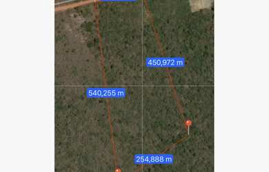 Imagem 3: 9 ha à venda em Viçosa do Ceará