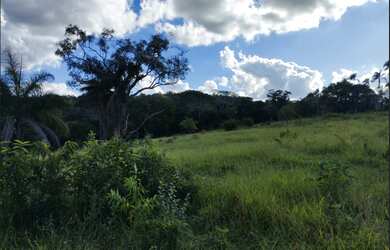 Imagem 3: Terreno de 15 ha em Itaguara MG