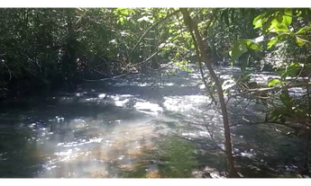 Imagem 2: 206 Alqs Disponiveis Pra Arrendar Pra Soja Abreulandia TO