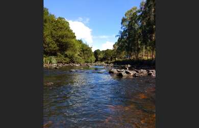 Imagem 3: PROPRIEDADE RURAL COM 24 HECTARES EM SAO FRABCISCO DE PAULA