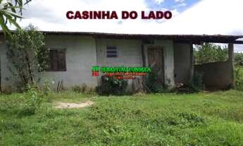 Imagem 7: Chácara plana em Caçapava 1 hectare