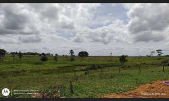 Imagem 7: 200 hectares pronta e documentada sentido Capanema
