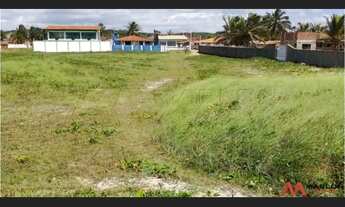 Imagem 2: Terreno em Praia de Barreta, à beira mar, plano, lado da sombra. 1500m²