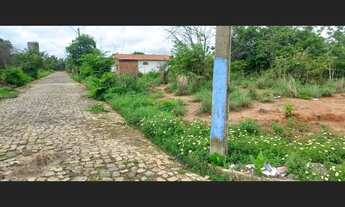 Imagem 5: Terreno no Torquato Neto IV