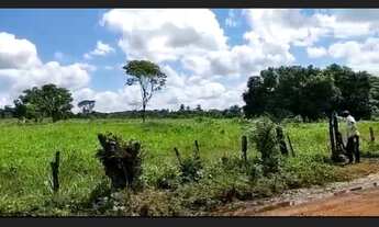 Imagem 4: Excelente fazenda em Araçás