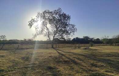 Imagem 5: Vendo com urgência chácara