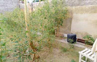 Imagem 4: Vende-se casa em Caraúbas/RN