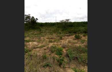 Imagem 2: Terreno Plano 17,5 Tarefas Biritinga-Ba