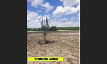 Imagem 4: CD-A8 Vendo Terreno 32,4 h -55 Itaiçaba/ Aracati Excelente Energia Solar Usina