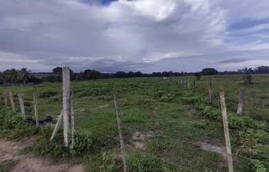 Imagem 5: R$ 5 milhões fazenda de 200 alqueires com 154 alqueires de pasto