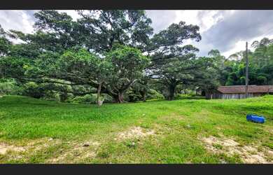 Imagem 5: SÍTIO COMPLETO 3 FIGUEIRA EM LAURENTINO - SC