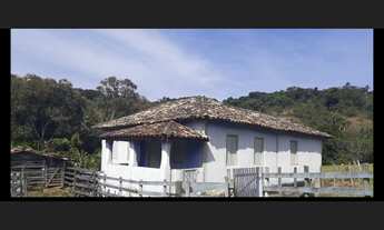 Imagem 2: Sitio de 12 há em Carmopolis de Minas MG