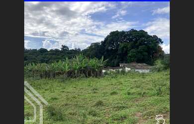 Imagem 4: EXCELENTE PROPRIEDADE RURAL PARA VENDA EM SÃO BENEDITO