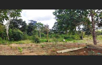 Imagem 6: Vendo Chácara de 5.000m² com uma Casa de 110m² em Barra do Choça