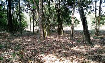 Imagem 7: Fazenda de 14 ha em Itaguara no Rio Para