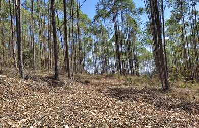 Imagem 7: Terreno de 189 há em Ritápolis Minas Gerais