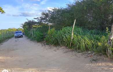 Imagem 6: Área para loteamento em Irará