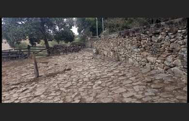 Imagem 14: Fazenda de 240 há em Carmo da Mata MG