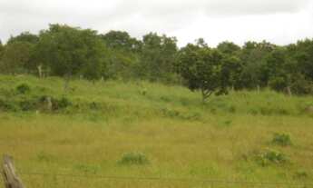 Imagem 3: 900 Alqs Plana Boa d Água Terra e Logística Região Palmeirópolis TO