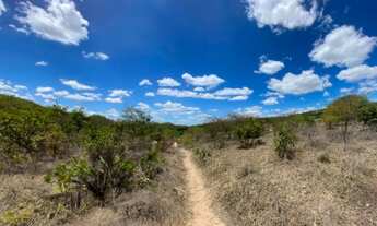 Imagem: Terreno de 12.000m2 para Venda em Jacobina