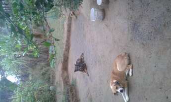 Imagem 3: Terreno à venda