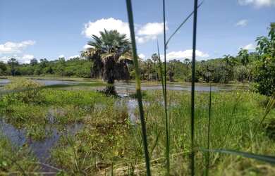 Imagem 2: Sítio Olaria - Pedro II - PI - Brasil