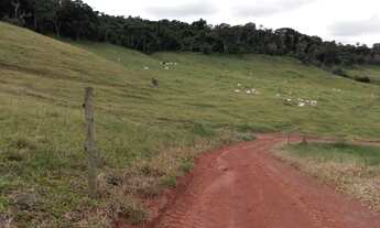 Imagem 3: Ótima fazenda - Dom Viçoso - Minas Gerais