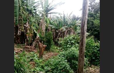 Imagem 7: Fazendinha de 14 ha em Itatiaiuçu