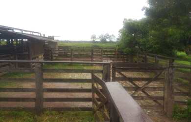 Imagem 6: 410 alqueires Fazenda em Tailandia por 35 mil o alqueire toda pronta e documentada