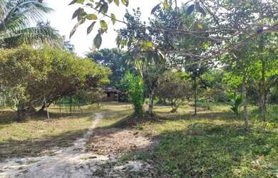 Imagem 2: Sítio com 72 hectares fica sentido Capanema por R$210 mil