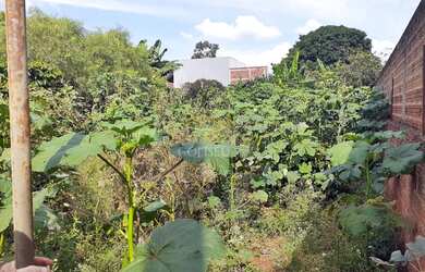 Imagem 3: Chácara no Vale Azul - Sarandi Pr