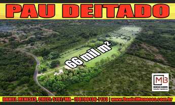 Imagem: Área de 66 mil m² em Pau Deitado, Paço