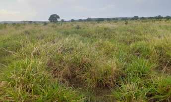 Imagem 6: 516 Alqs arrendamento Disponivel P Soja Silvanópolis TO