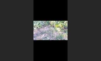 Imagem: Terreno de 15 há em Cláudio MG