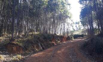 Imagem 6: Belíssimo sítio banhado pelo Rio Cachoeira em Joanópolis-SP