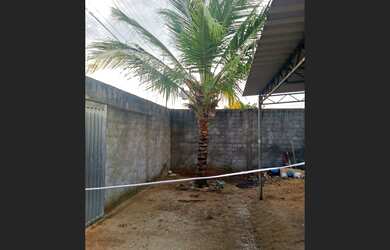 Imagem 7: Casa perto ao Clube River