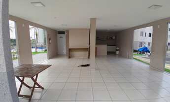 Imagem 3: Viva Vida Flores