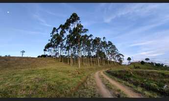 Imagem 7: Fazenda para Venda 86 hectares para Pecuária em Presidente Nereu SC