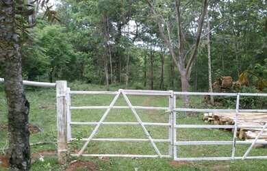 Imagem 6: Fazendinha de 23 há em Itaguara MG