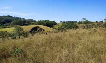 Imagem 5: Terreno de 10 há em Oliveira