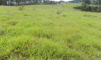 Imagem 7: Sítio 12,309 alqueires por R$ 1.100.000 - Zona Rural - Jacui/MG